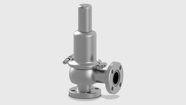 Two-Way Safety Valve